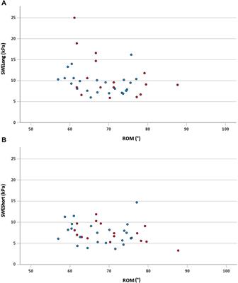 Relationship between pectoralis major stiffness and shoulder extension range of motion